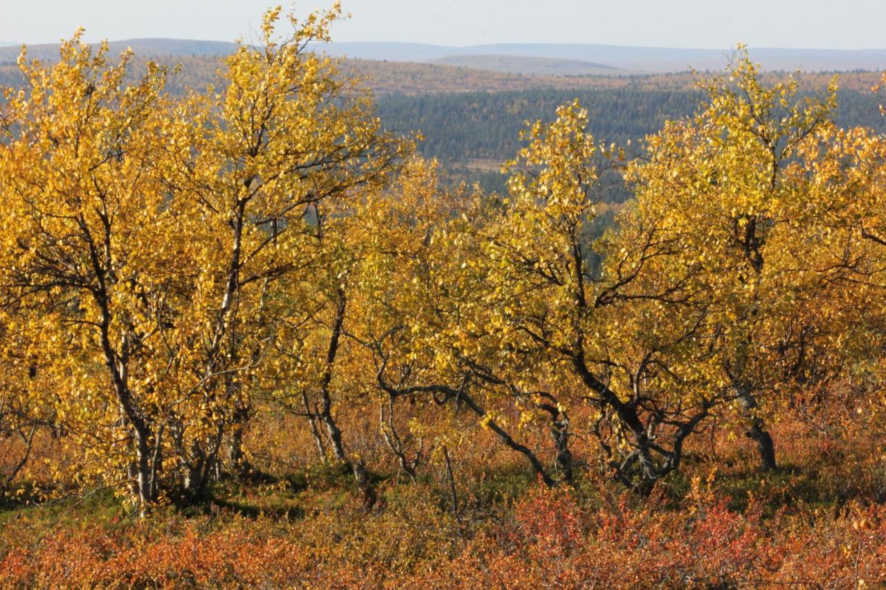 Ounasloma Holiday Cottages Enontekiö Buitenkant foto