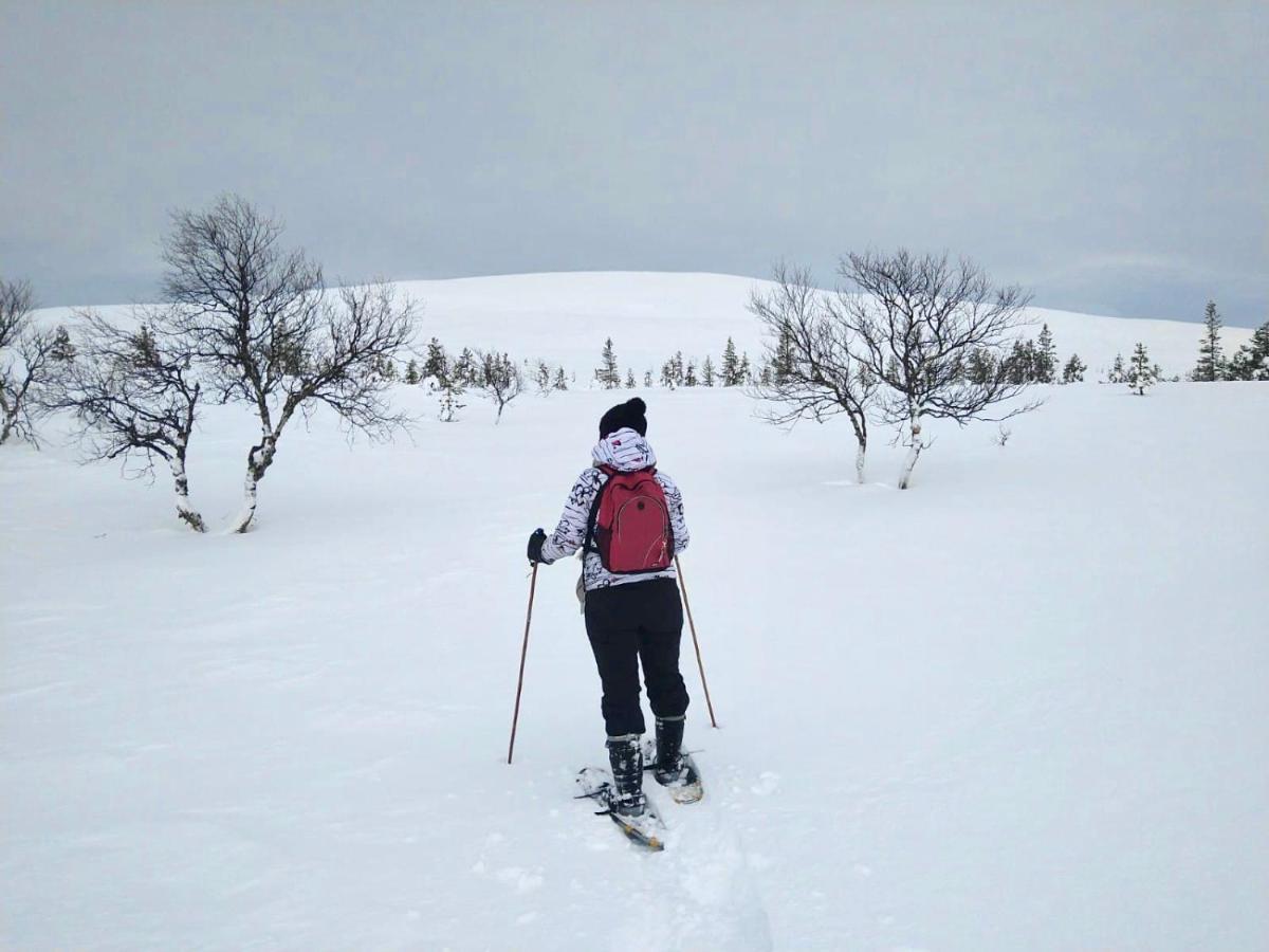 Ounasloma Holiday Cottages Enontekiö Buitenkant foto